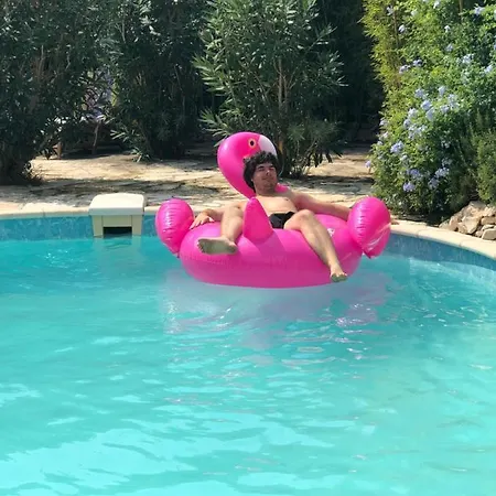 Villa Beautiful In Pool Garden Near Beach Zadar